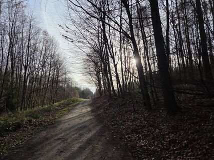 Photo de Silke S. le long du parcours