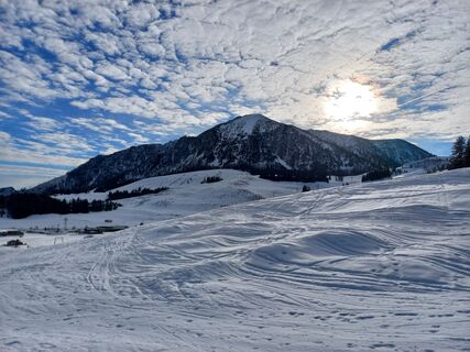 Branedlkogel