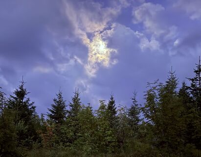 Photo de Dani Geiger / Natur_erleben_dg le long du parcours