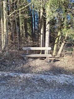 Photo de Miha Gros le long du parcours