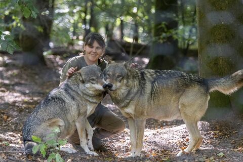 Wolfspark Werner Freund
