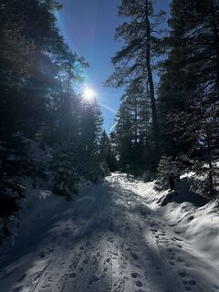 Foto von Kavonick entlang der Tour