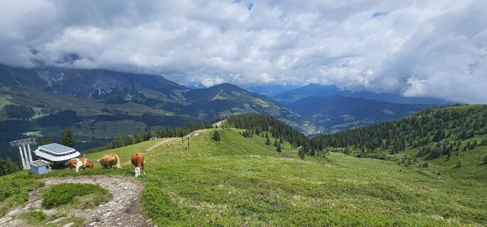 Fotografie z Michael Ganswind na trase