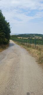 Foto von Ewald Reil 1 entlang der Tour
