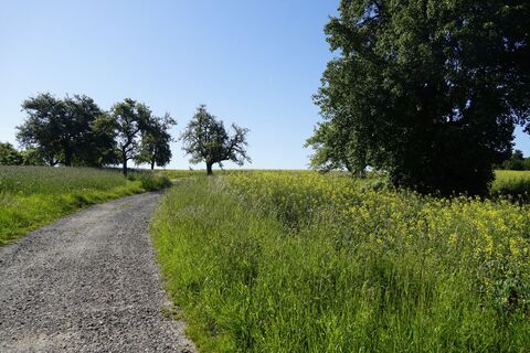 Komfortable Wanderwege auf der Höhe bei Völkersbach
