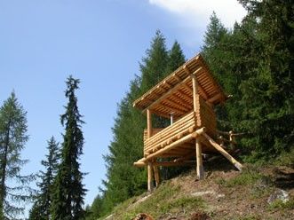 Wildbeobachtungspfosten Holzji