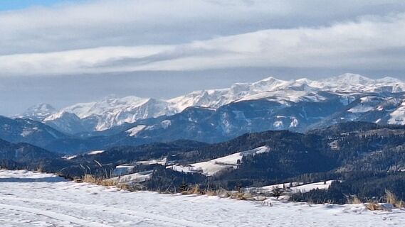 Foto von Susi Puhl entlang der Tour