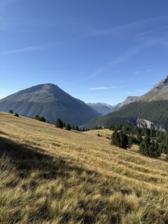 Photo de Marisa scafetta le long du parcours