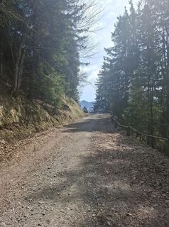 Foto von Miha Gros entlang der Tour