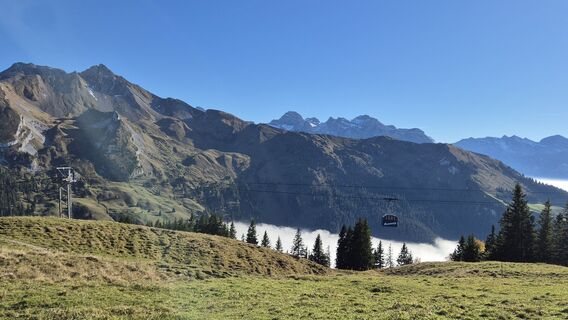Photo de alinradu le long du parcours