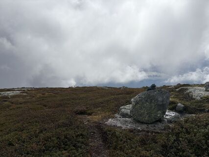 Foto fra Jako Koel undervejs på turen