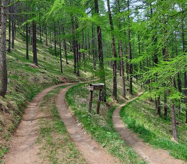 Grauer Kragen - Fenils, Desertes