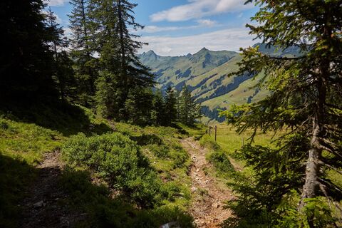 Pinzga Hatscha - Etappe 11