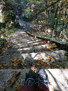 Foto von Wanderfux entlang der Tour