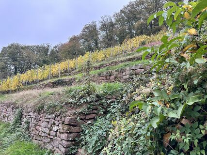 Fotografie de la Norbert Herbig de-a lungul turului