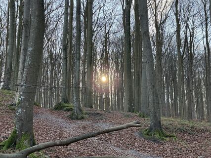 Foto de Norbert Herbig a lo largo del recorrido