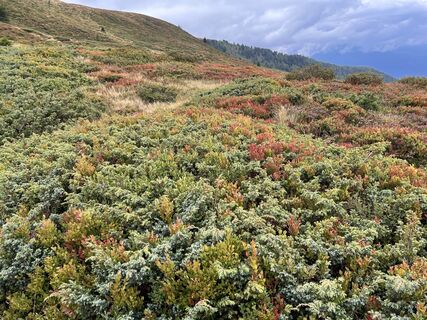 Foto från Karl Heinz Fick under resans gång