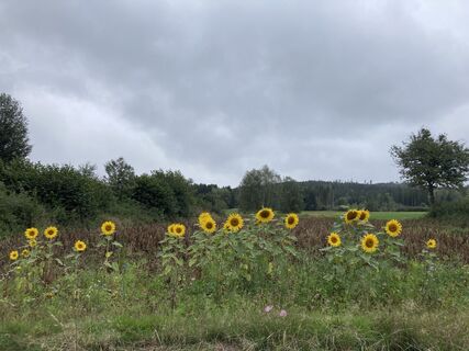 Foto von Anna Herzog entlang der Tour