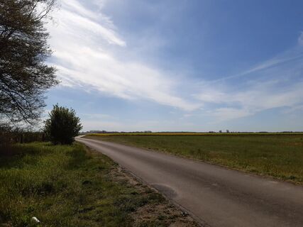Landwirtschaftlicher Weg bei Moritz