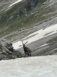 Foto von Anna Hofmarcher entlang der Tour