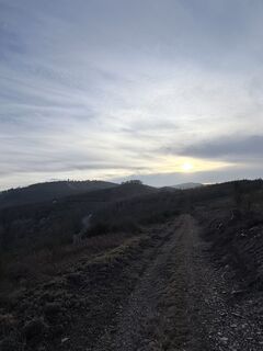 Fotografija s spletne strani Justin Besting na poti