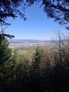 Fotografija s spletne strani Andi na poti