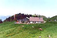 Nesselwängeler Edenalpe.
