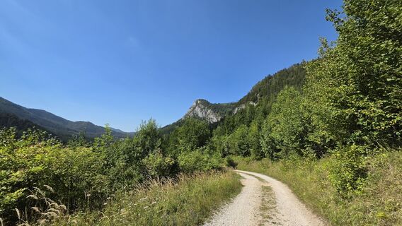 Fotografija s spletne strani EP87 na poti