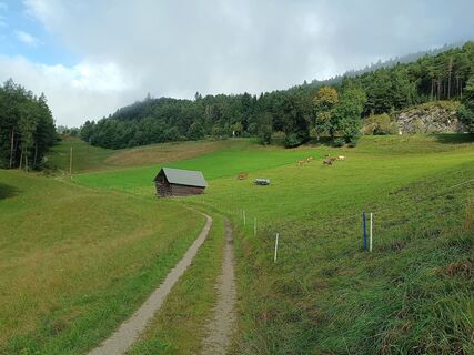 Foto von Wilfried entlang der Tour