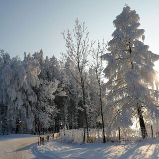 Winterwanderung Rundweg Kremsweg
