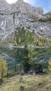 Fotografija s spletne strani ROBERTO BONIOTTI na poti
