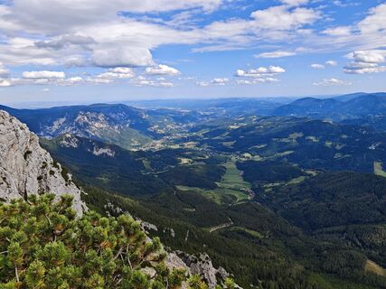 Fotografija s spletne strani Viktoria Ellinger na poti