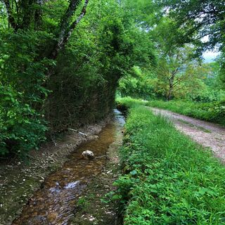 Rau de Marchand in Essieux
