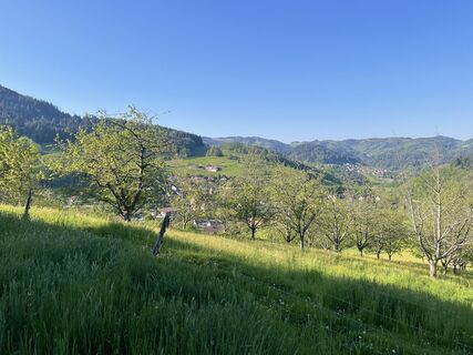 Fotografia z Ralf Umminger na trase