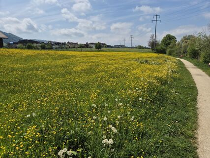 Zdjęcie z Thomi W wzdłuż trasy