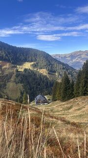 Fotografija s spletne strani Dominique Vlach na poti