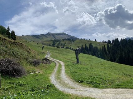 Foto von Koen De Wit entlang der Tour