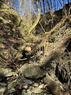 Foto fra Paul Dollinger underveis på turen