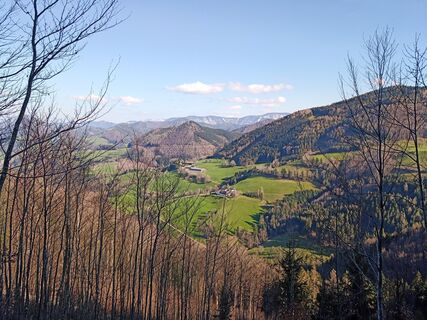 Foto de Wanderkatze a lo largo del recorrido