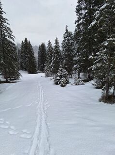 Foto von Liwo Uhlir entlang der Tour