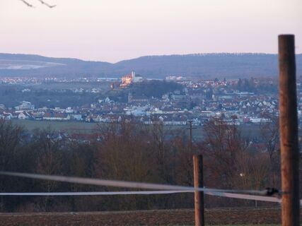 Blick auf Schloss Kaltenstein in Vaihingen an der Enz