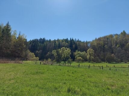 20260422_152403.jpg