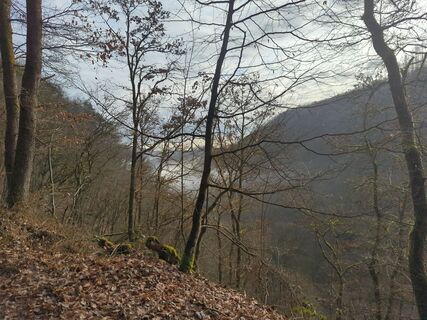 Foto von Andreas Reiher entlang der Tour