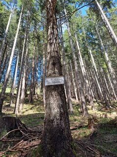 Foto von Greg+Lisa entlang der Tour