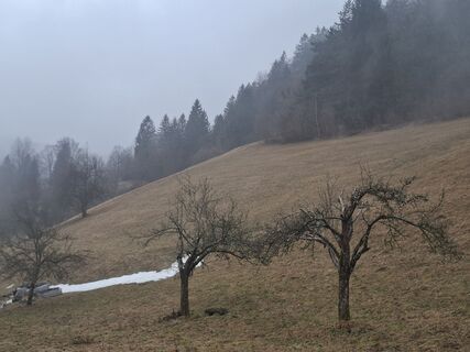 Fotografia z Gregor Usen na trase