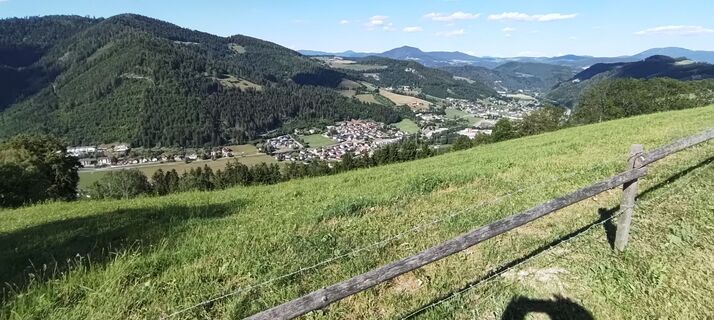 Fotografia z wolfkl na trase