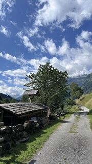 Zdjęcie z Mountain Cat ? ⛰️ wzdłuż trasy