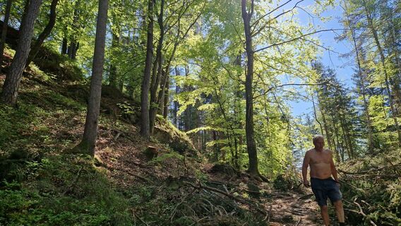Foto von rothe entlang der Tour