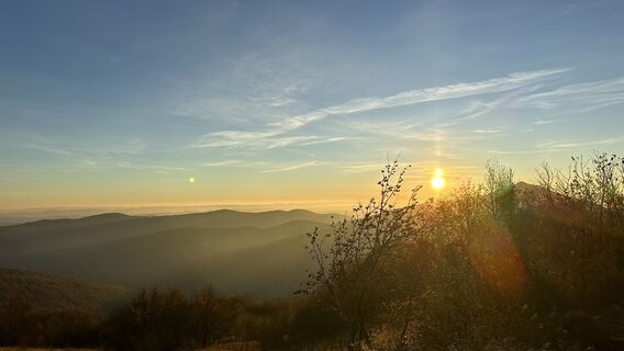 Fotografija s spletne strani Z-Polen na poti