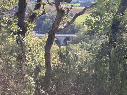 Photo de Conny le long du parcours